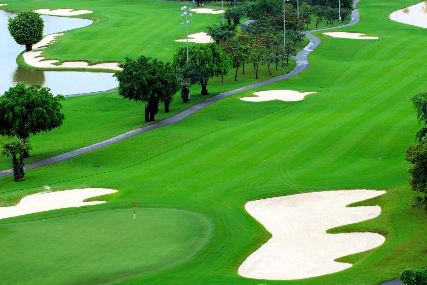 sân golf trồng cỏ gì