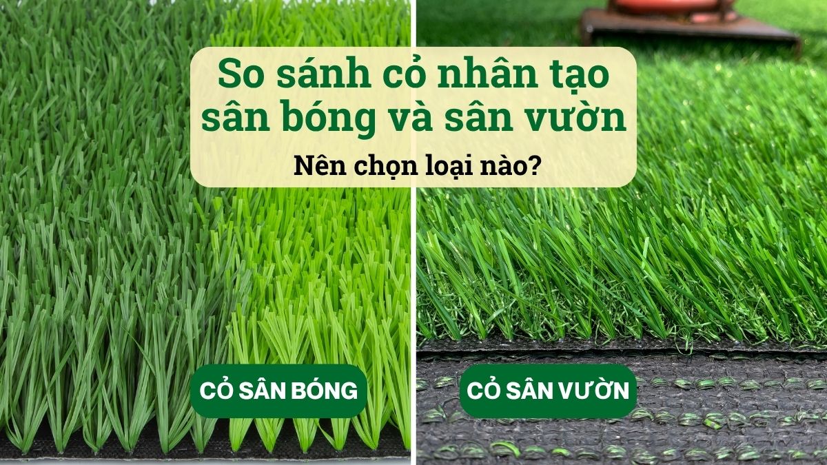 So sánh cỏ nhân tạo sân bóng và cỏ nhân tạo sân vườn