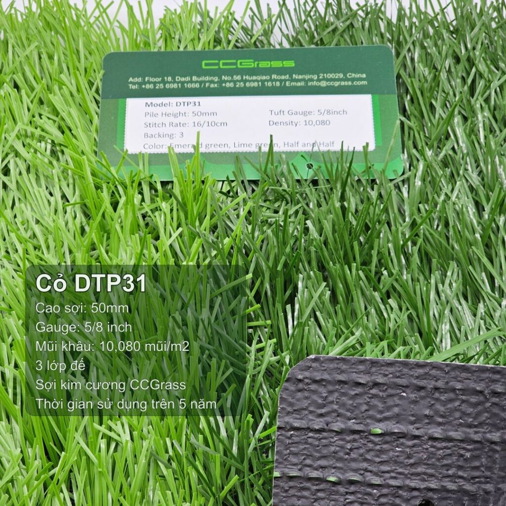 Cỏ nhân tạo DTP31
