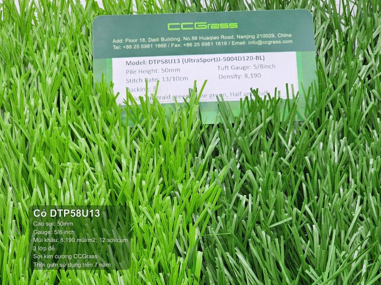 Cỏ nhân tạo DTP58U13