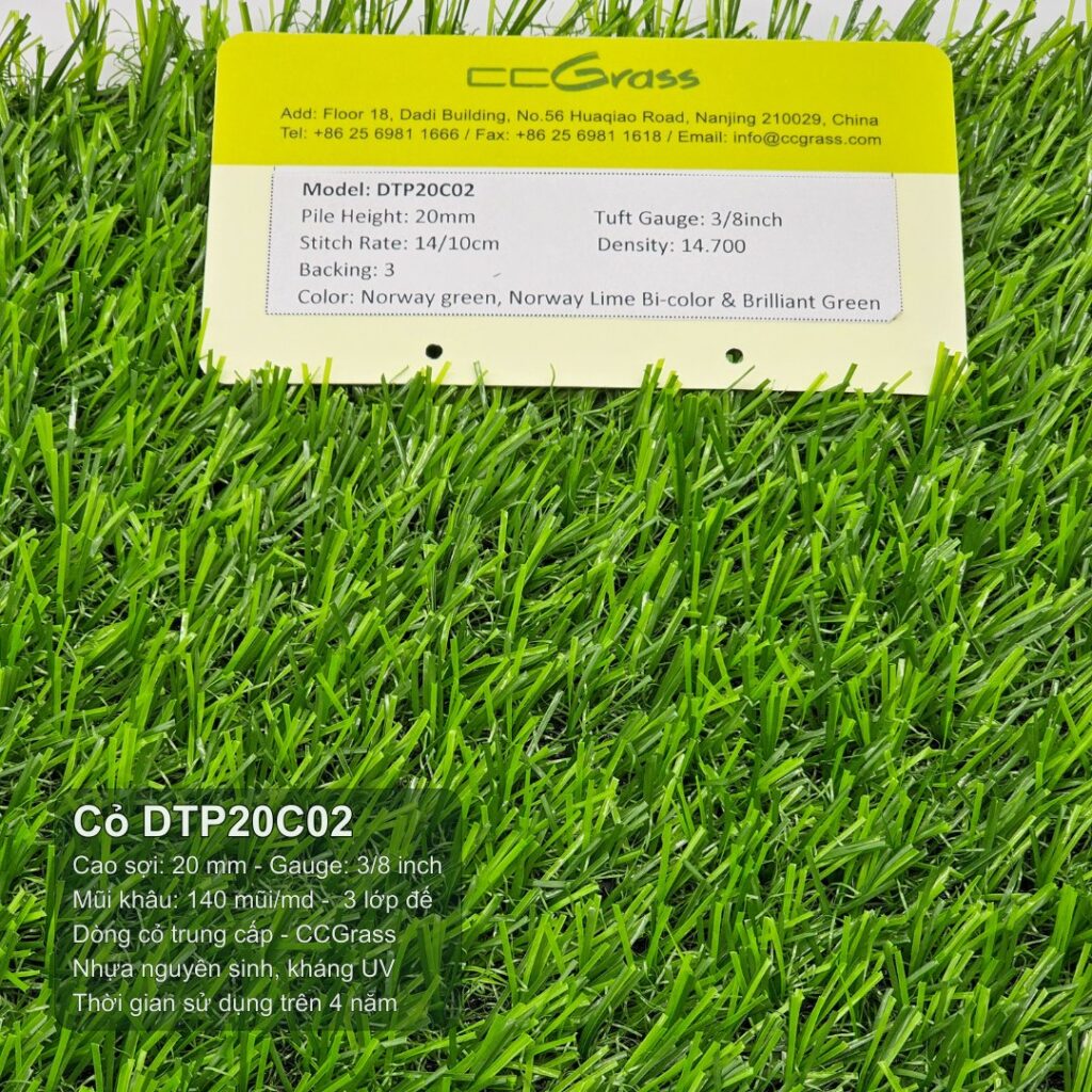 Thảm cỏ nhân tạo DTP20C02