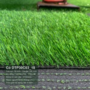 DTP30C03_18